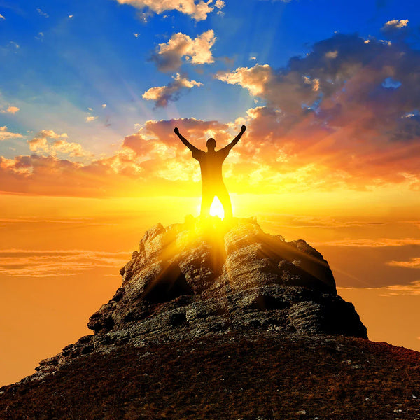 Motivation for Greater Success - The Push Factor | Blog Post – Metallic Art